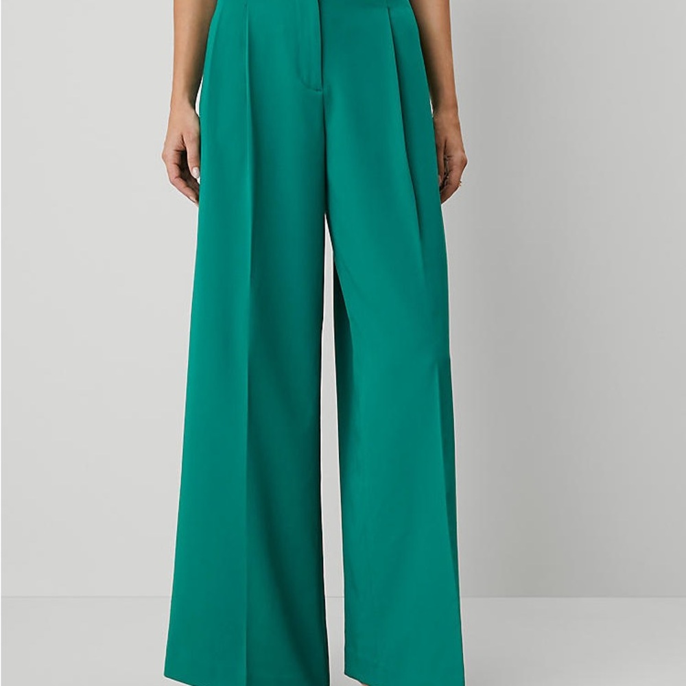 Ann Taylor Green Pleated Wide-Leg Women's Pants 12P
